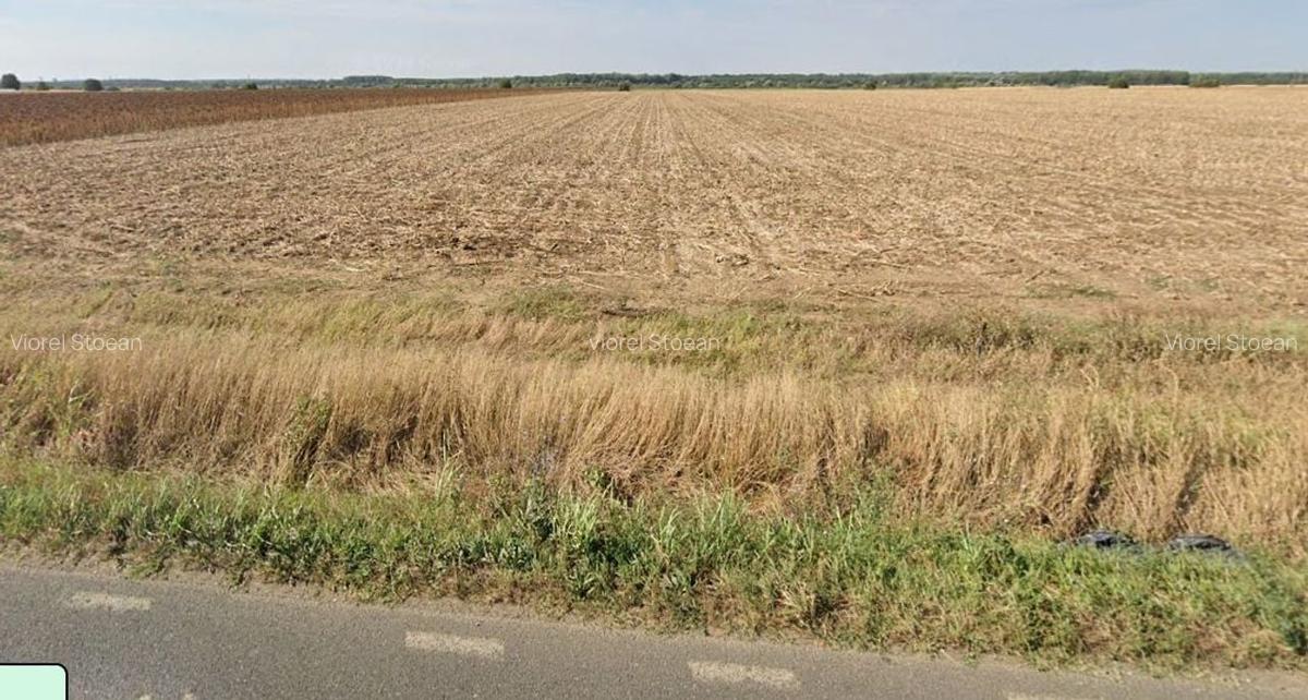 Teren extravilan localitatea Nuci, Ilfov - 2