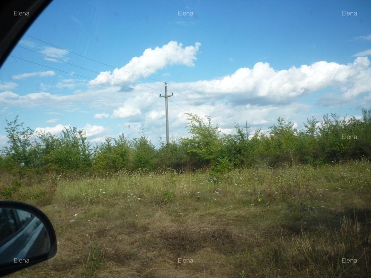 Teren 5000 mp,Niculesti –Peris –Ilfov - 5