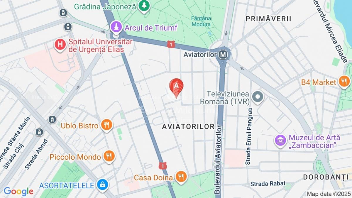 Kiseleff Bloc Nou - Aviatorilor - 4