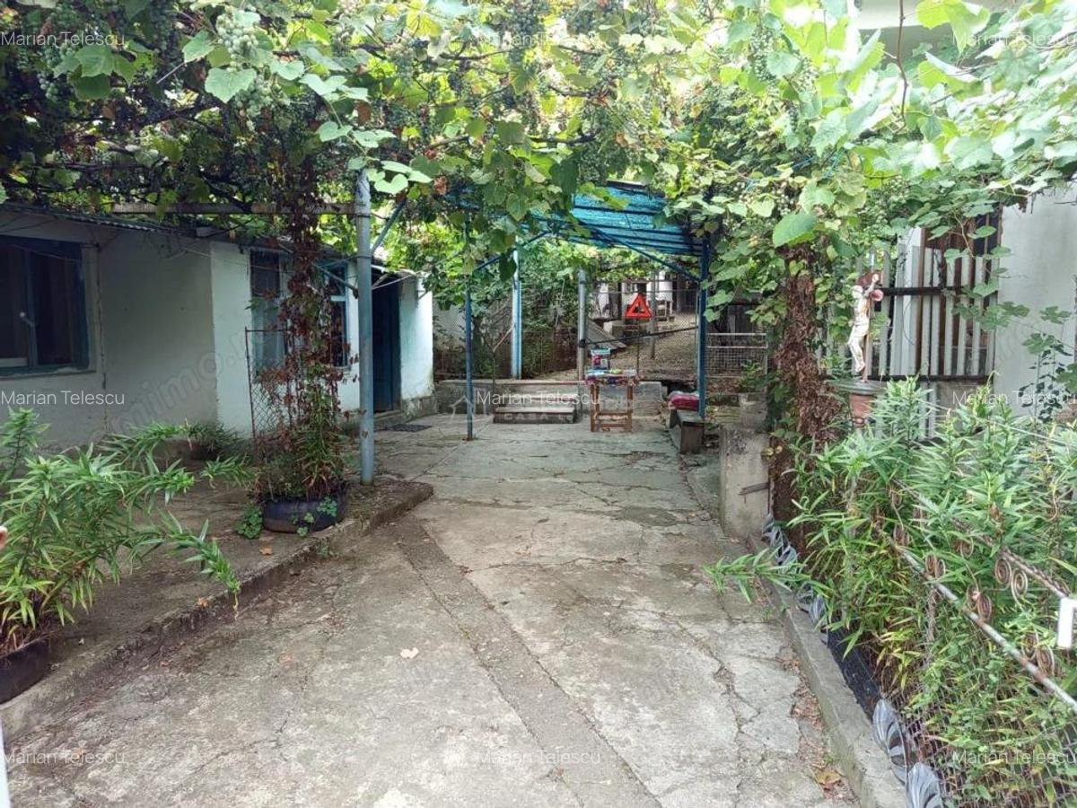 Bradisoru de Jos, Casa 14 Incaperi + Teren 1439MP - 3