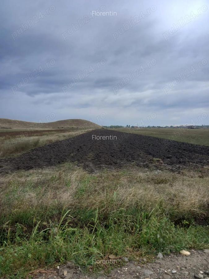 Teren intravilan Maracineni - 1