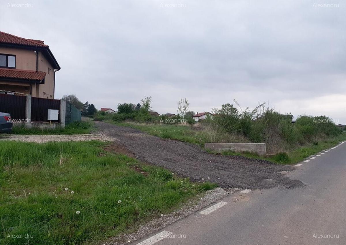 Lot teren Balotesti,langa case noi-50 m de asfalt 600mp - 6