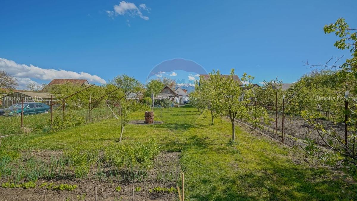 Spatiu Comercial/Afacere si casa de vanzare/zarnesti/Brasov - 4