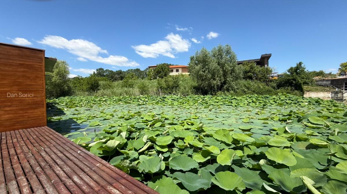 Construcție Nouă / Deschidere Lac / Ponton /Piscină - 2