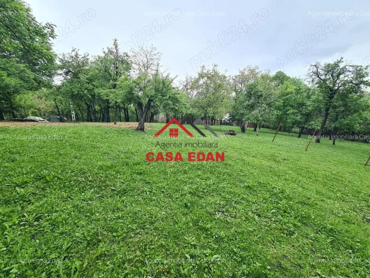 Teren intravilan construibil in Poiana Campina--447 mp---22.000e - 1