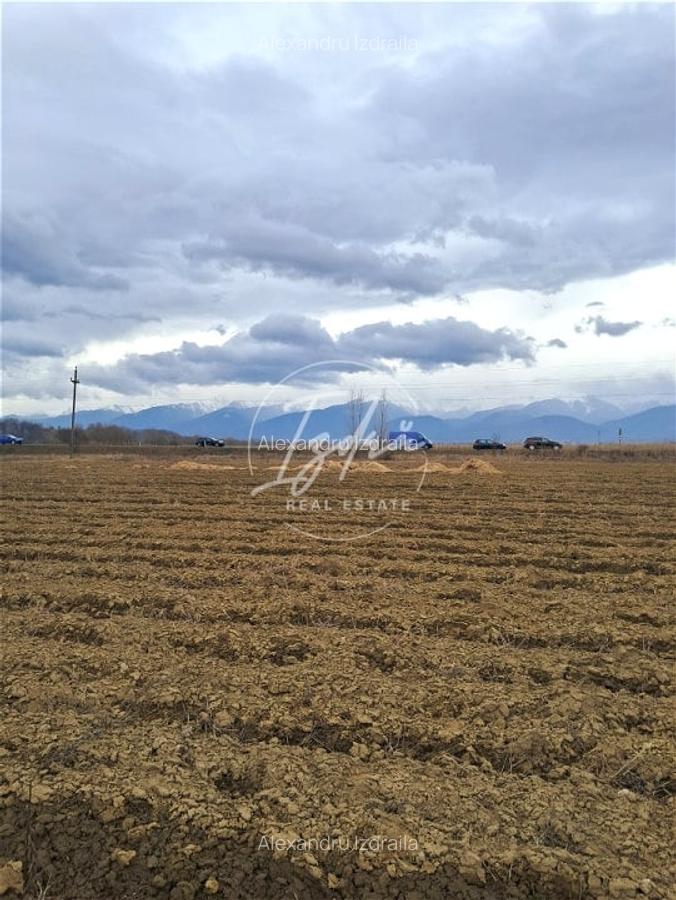 Teren extravilan Avrig - 4