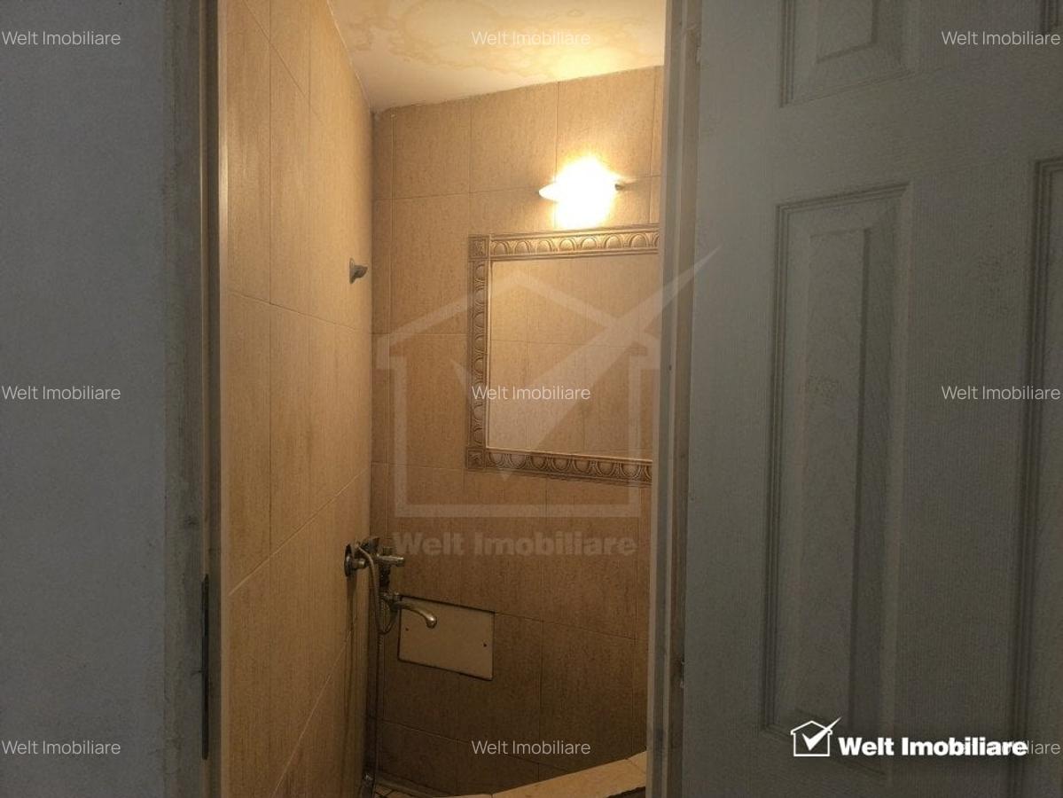 Casa cu CF spatiu comercial, curte comuna, Gruia - 13