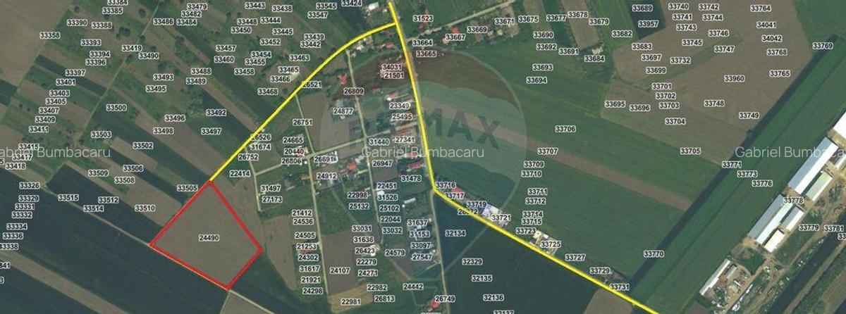 Teren intravilan - 17.500 mp - Gostilele Fundulea - 2 Teren intravilan - 17.500 mp - Gostilele Fundulea - 2