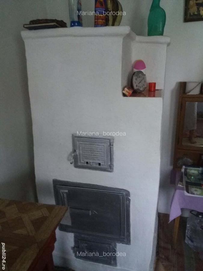 Vand urgent casa de vacanta o camera cu pod in Ghizdaru - 5