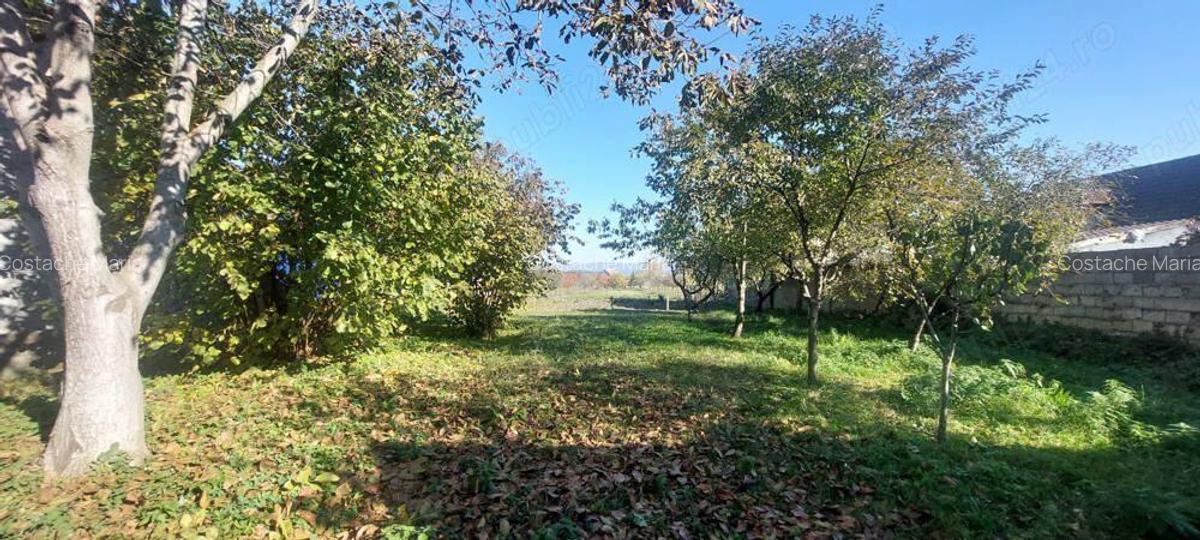 Casa solida saseasca + 2500mp teren, Bod - 3