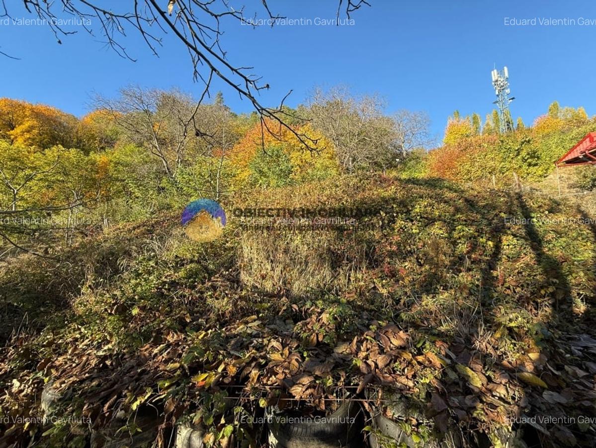 Teren intravilan 1543 mp - zona Darmanesti - 3