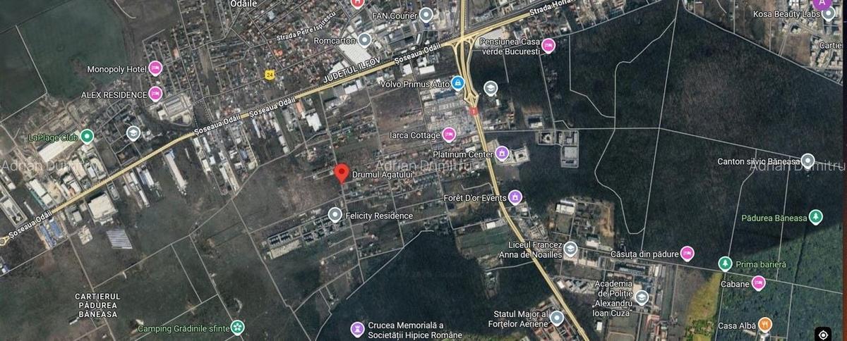 TEREN 1.000 mp langa padure pentru vila - 3