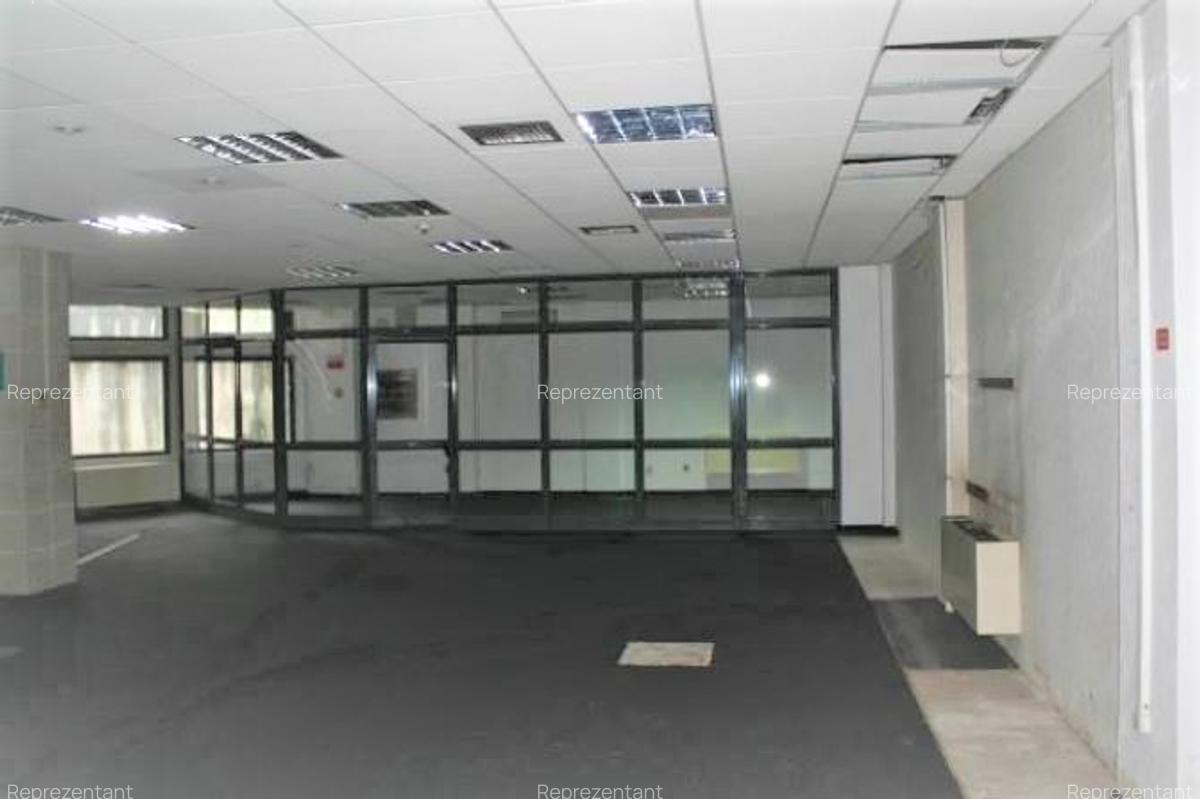 Spatiu comercial 1.825 mp, SATU MARE - 5