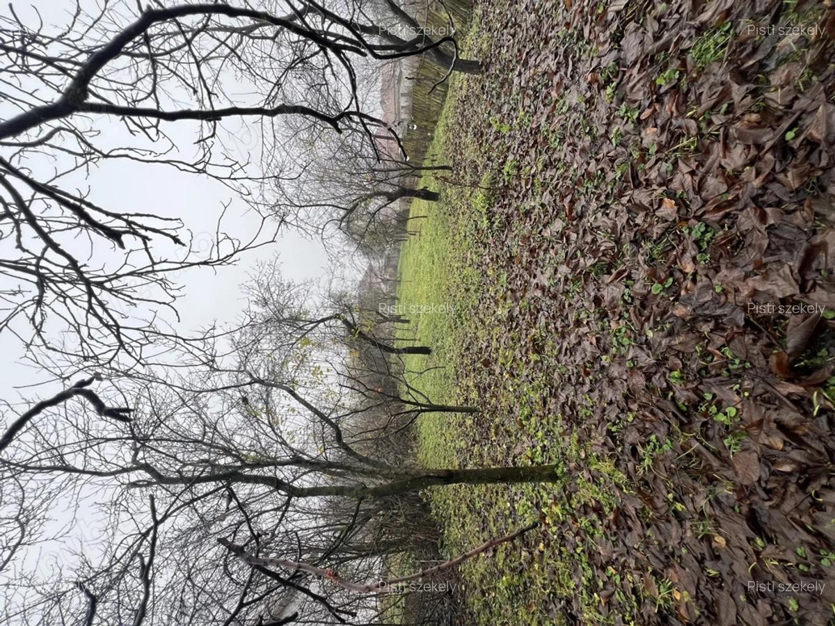 Se vinde casa parinteasca sat. Vechea com. Chinteni - 4