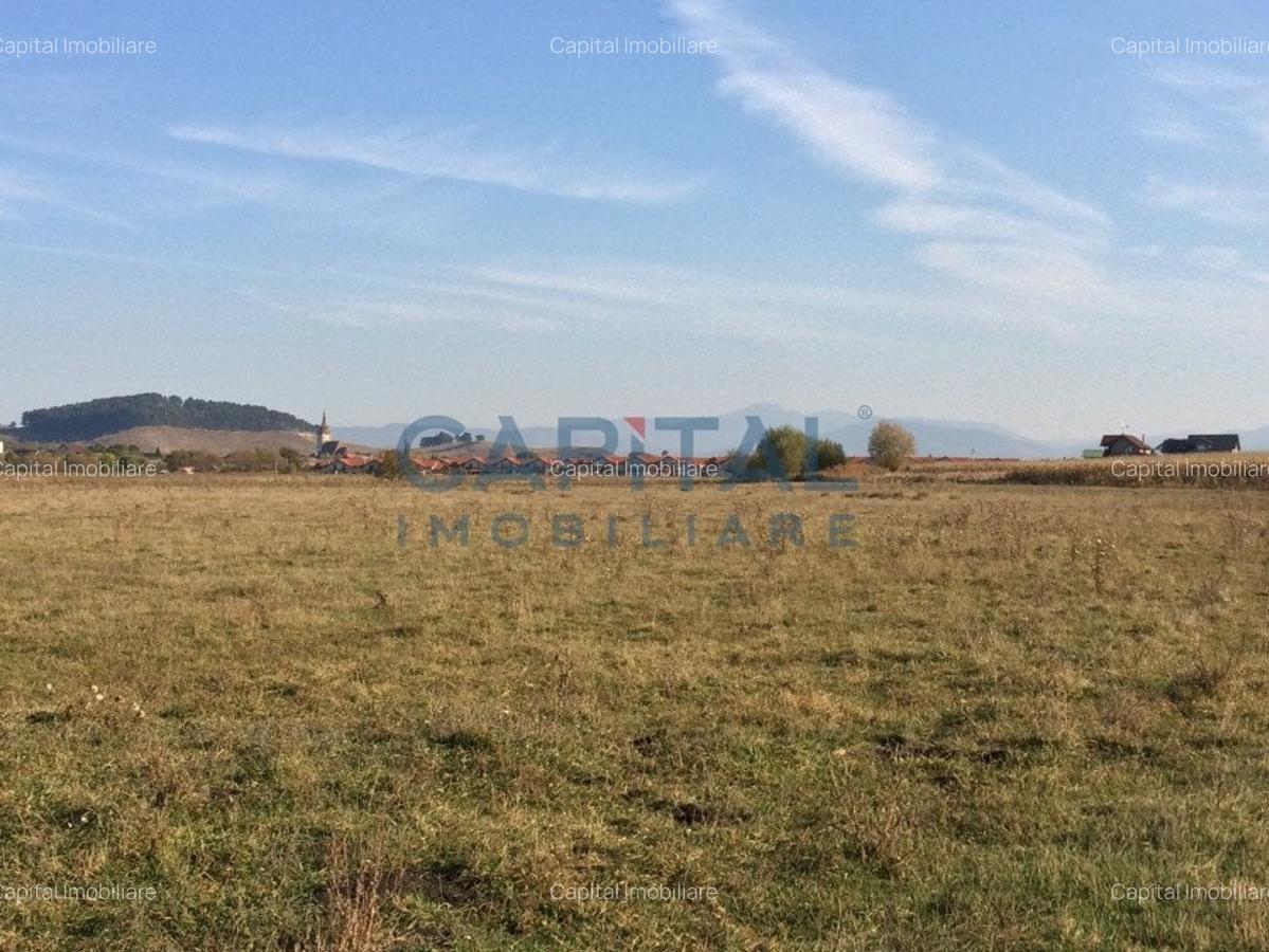 Teren de vanzare extravilan, Sanpetru - 5