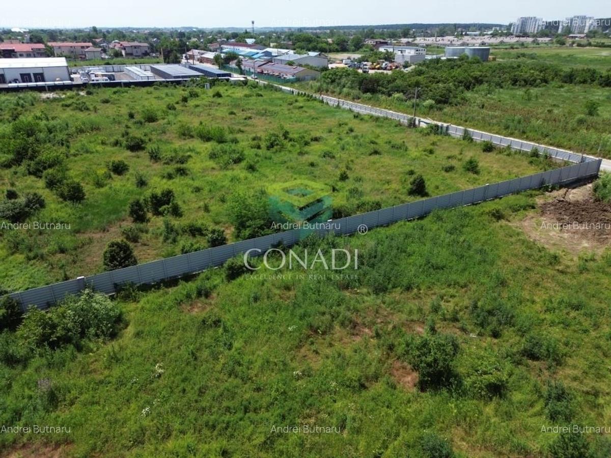 Teren Mogosoaia -  6.000 mp - PUZ aprobat pentru vile P+1E - 3