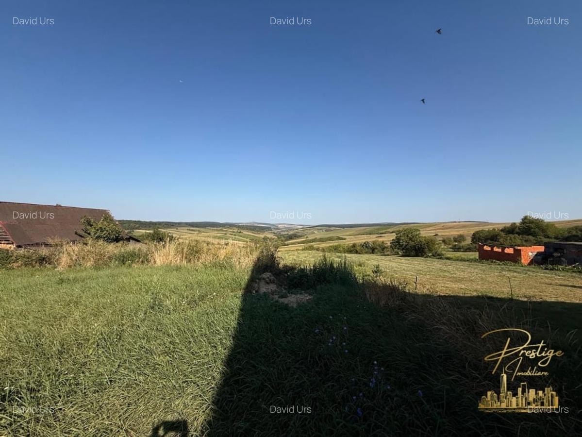 Teren intravilan de vanzare in Tasad - comuna Dragesti - 3
