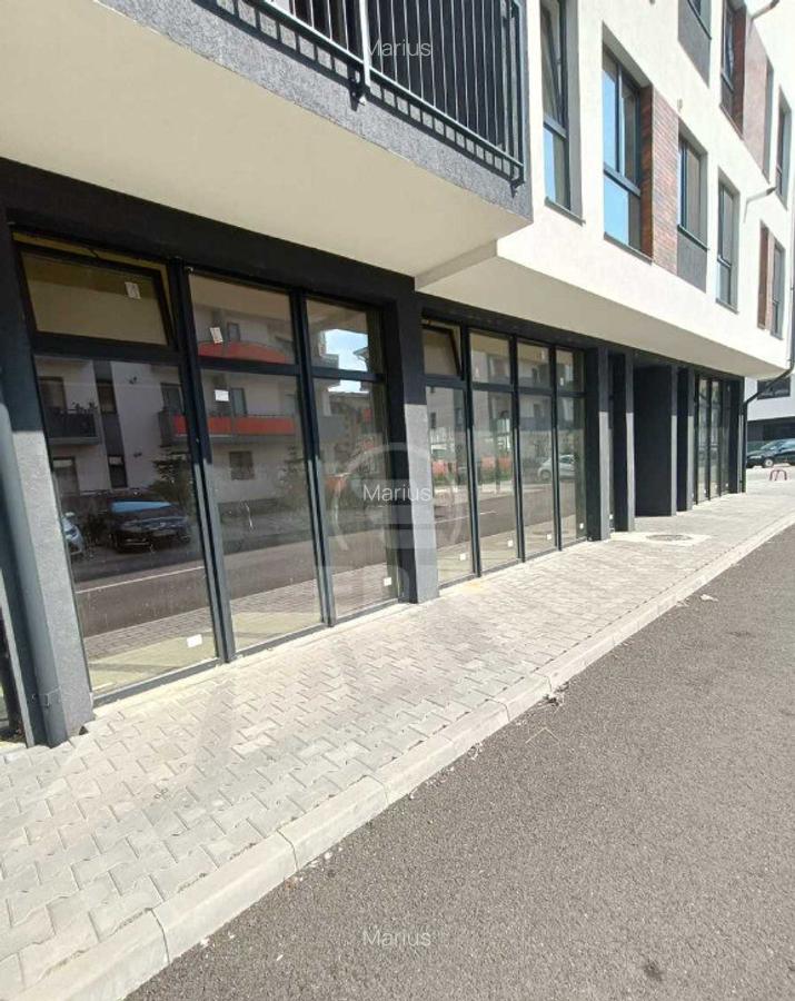 Spatiu comercial de vanzare, Terra - 4