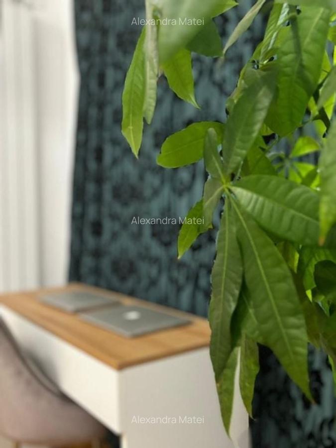 Apartament 3 camere Aviației - 2