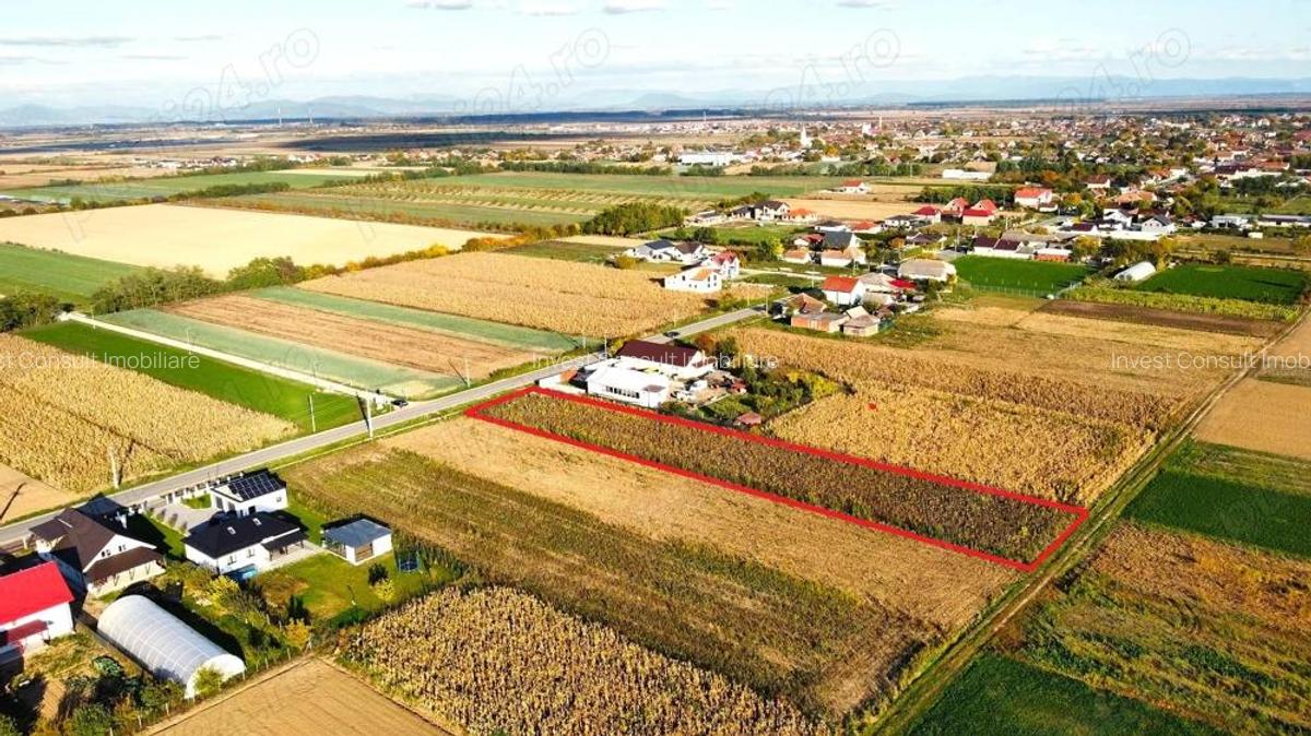 Teren intravilan de vanzare 3000 mp, Botiz, str. Sirul Mare, la doar 7 km de centrul Satu Mare - 6