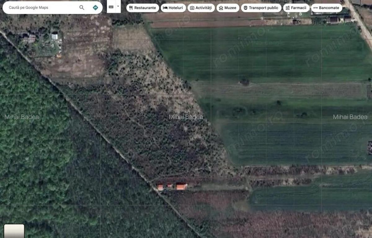 `Teren cu dubla deschidere, langa padure, Snagov - Strada Parcului - 1