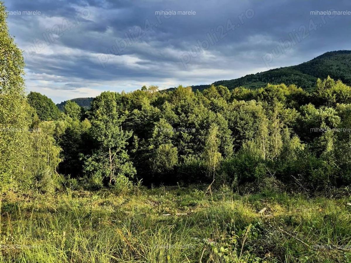 Teren cabana de vacanta Comision 0% - 6