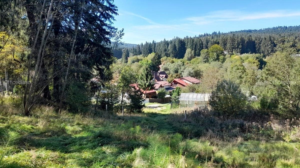 Pensiune in stilul arhitectural al cabanelor austriece, 5000 mp, teren - 12