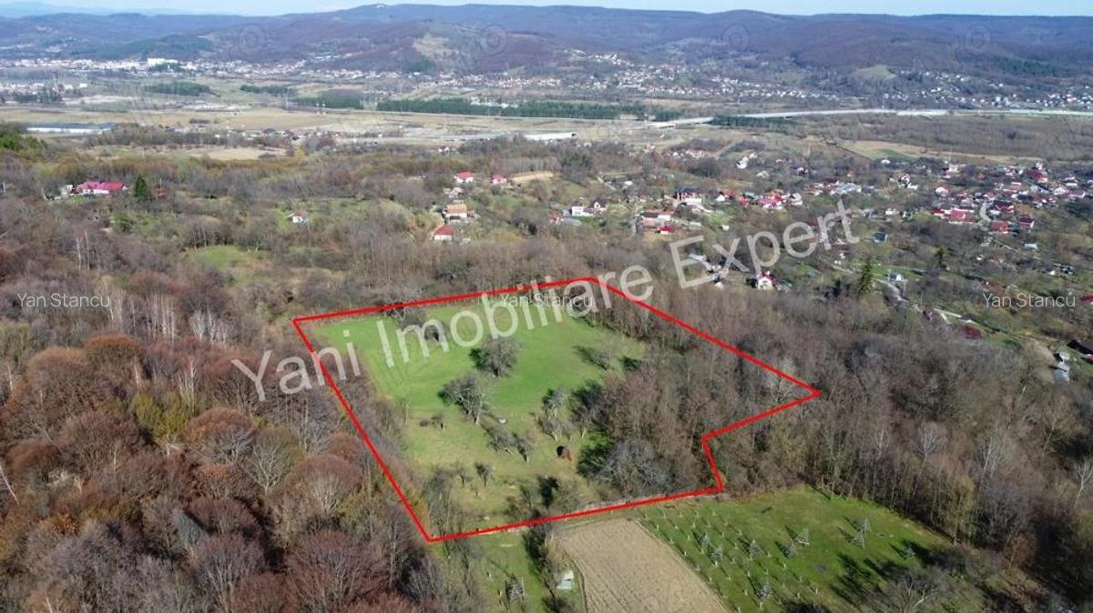 Teren 13.643 mp intravilan de vanzare in Curtea de Arge?. - 11