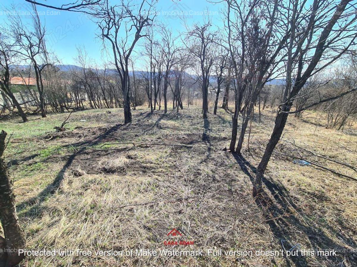 Teren intravilan in Cornu de Jos--4391 mp--43e - 5