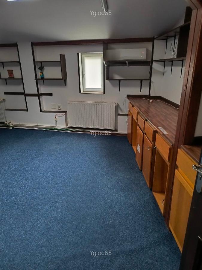 Vila zona Știrbei Vodă Cișmigiu - 7