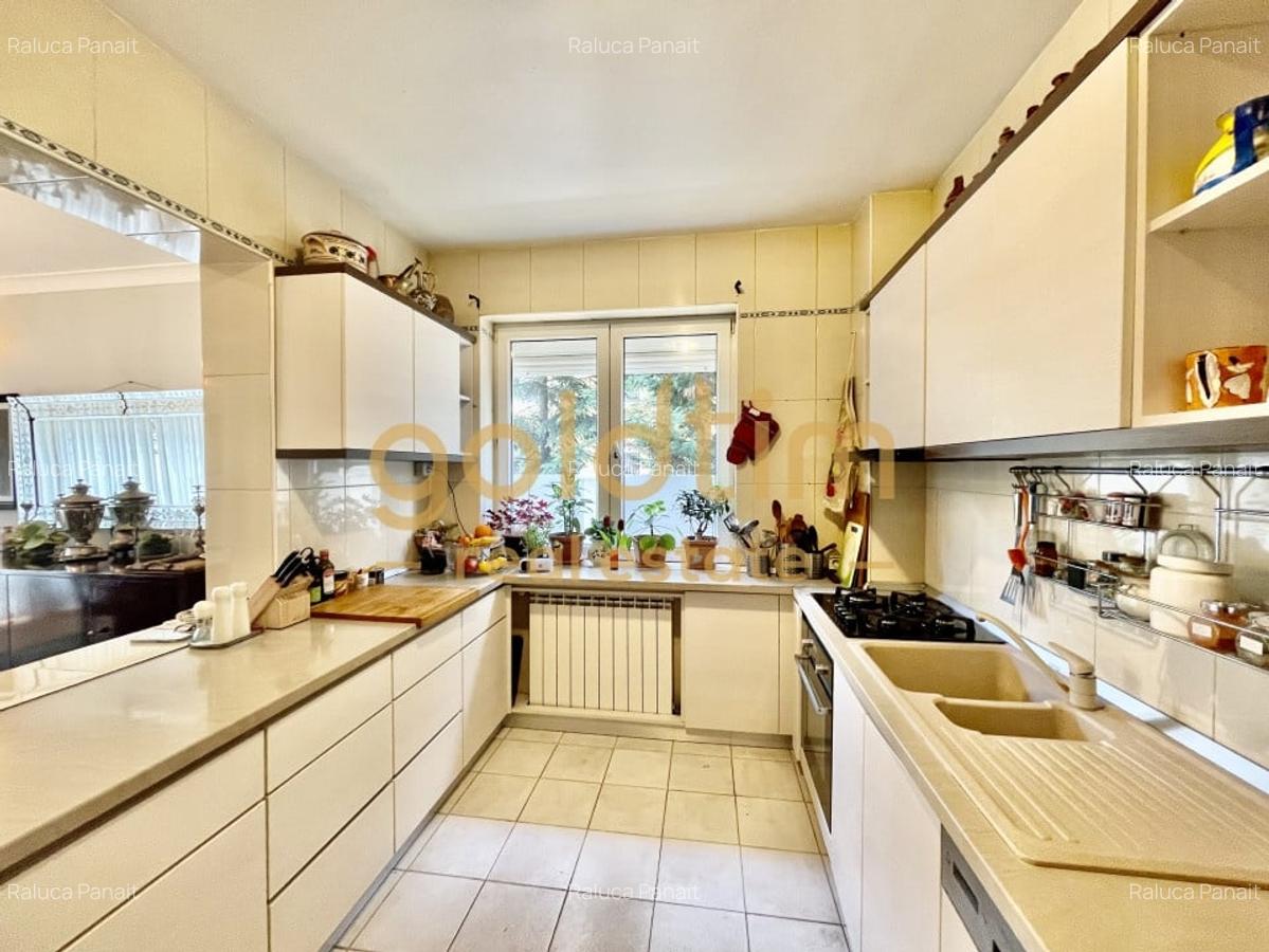 IANCU NICOLAE/ GRADINA SUPERBA/LOCURI DE PARCARE/SPATII GENEROASE - 6