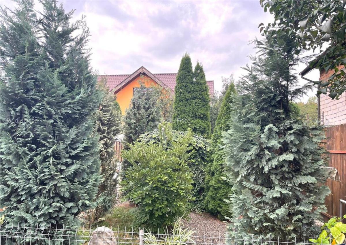 LIVE! Resedinta notabila, 5 camere, 2 garaje, limitrof 7 Noi - 16