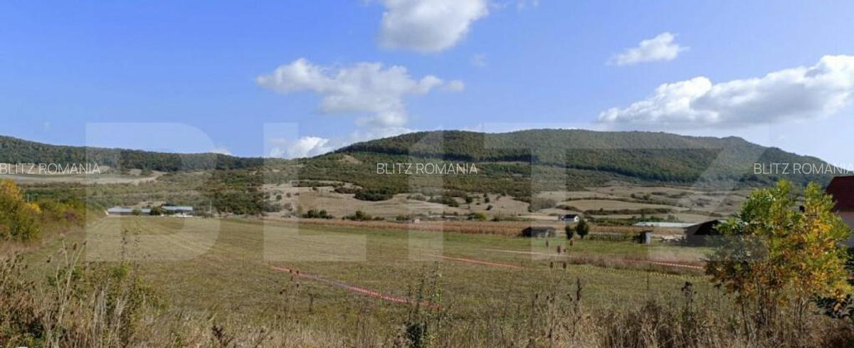 Teren Intravilan de vanzare, 4.900 mp, zona parcului Industr - 6