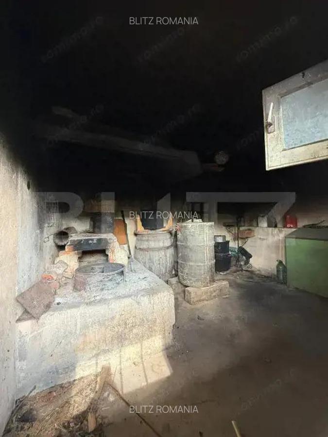 Casa batraneasca, renovabila, Comuna Danesti, Sat Vacarea, 2570 mp, front 25 ml - 5