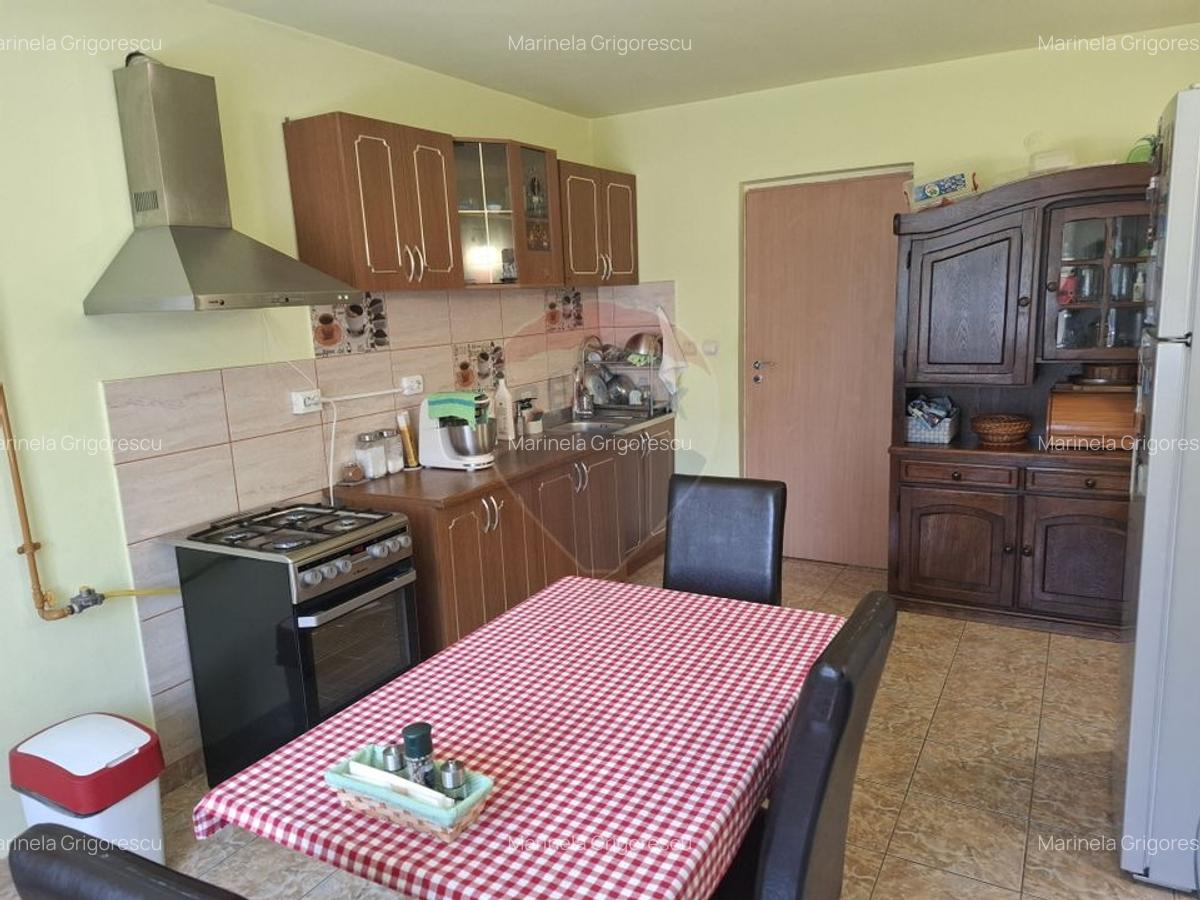Casa / Vila cu 5 camere de vanzare in zona Brestei - 4