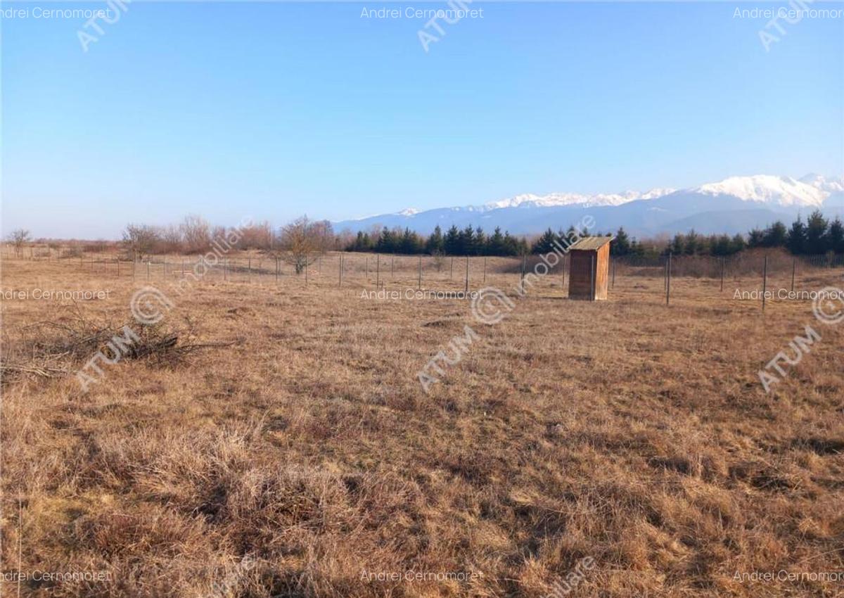 Teren intravilan 7900 mp de pe Valea Avrigului - 7