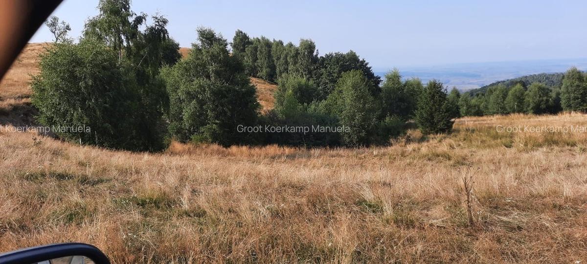 Vand teren montan 6.043mp , 20.000 euro, 55m deschidere- drumul Saliste - Crint - 1