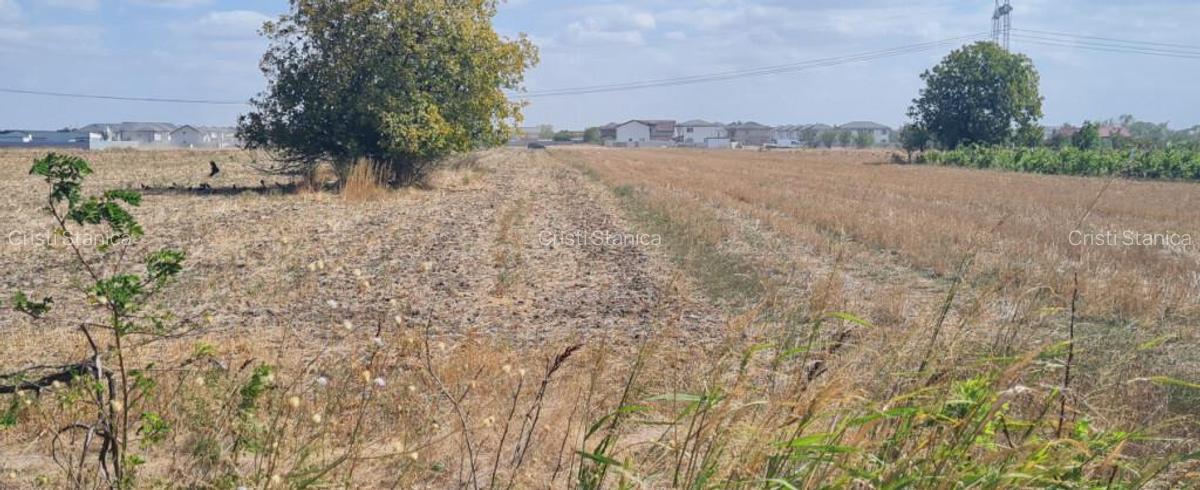 Teren investitie Berceni - 4