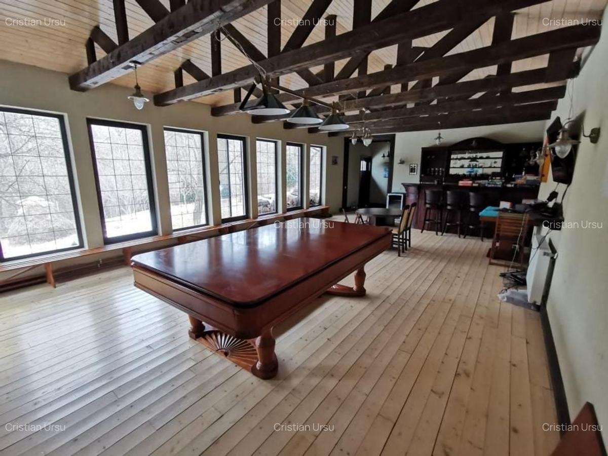 Casa de vacanta deosebita Breaza- Nistoresti - 28