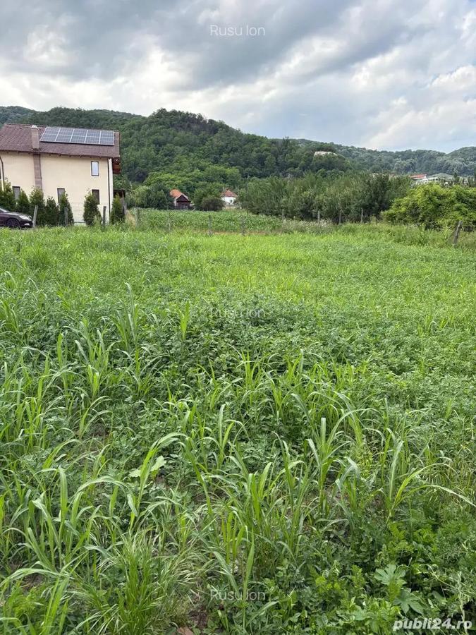 Teren Copacelu, 450mp - 1