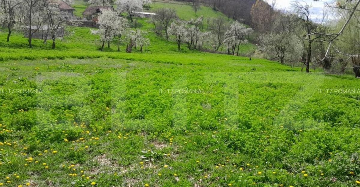 Casa individuala, 5500 mp teren, zona Vintu de Jos, Inuri - 6