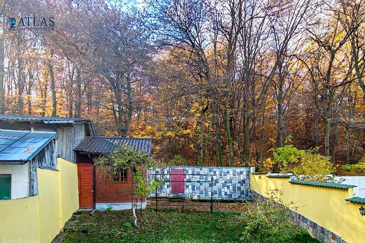 Natură și intimitate! 4 camere, curte, garaj, mansardă versatilă, 163mp, Racadau - 4