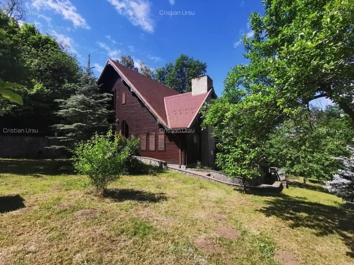 Casa de vacanta deosebita Breaza- Nistoresti - 36
