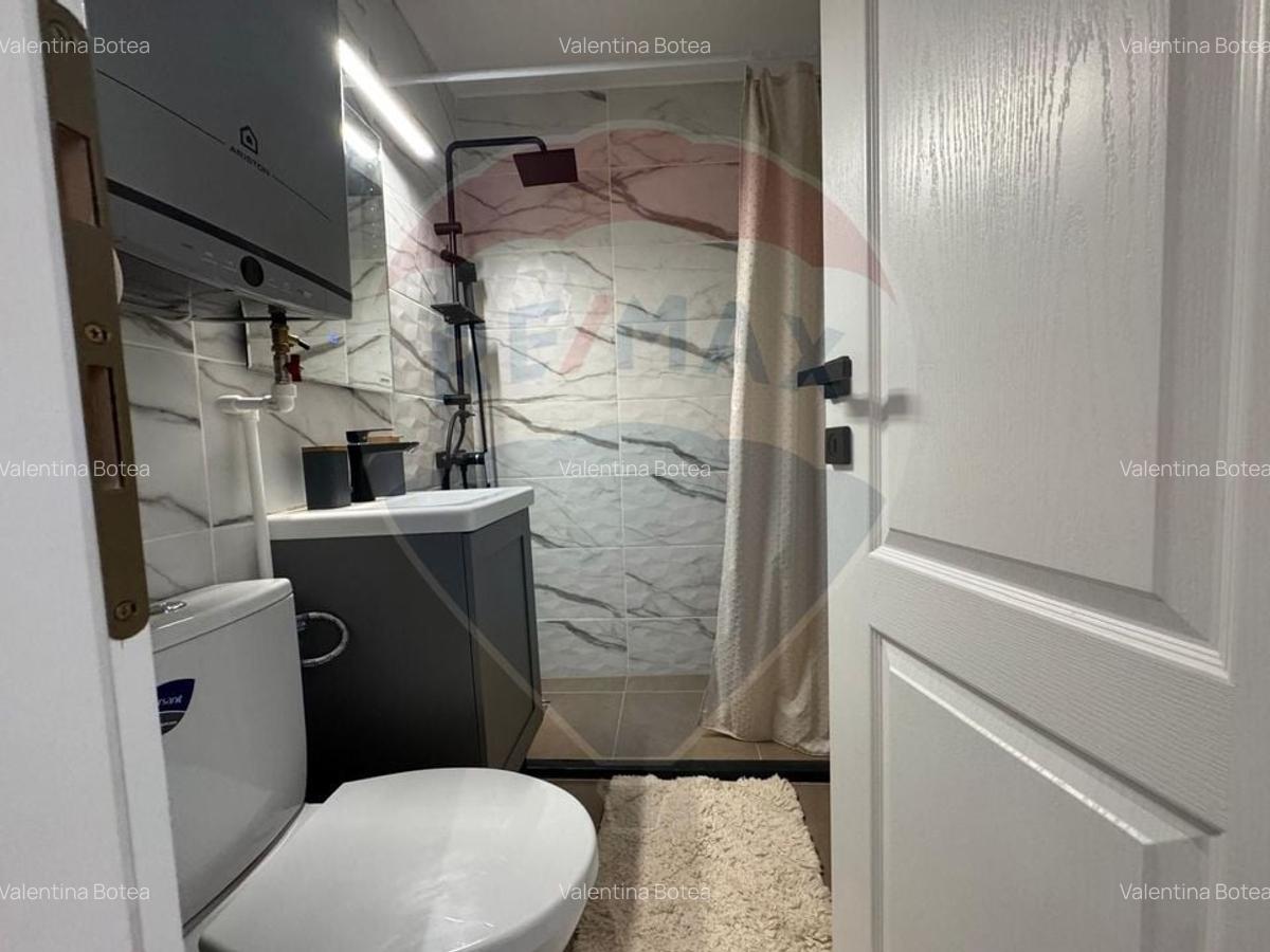 Apartament 2 camere | Drumul Taberei - Raul Doamnei | Mobilat - 12