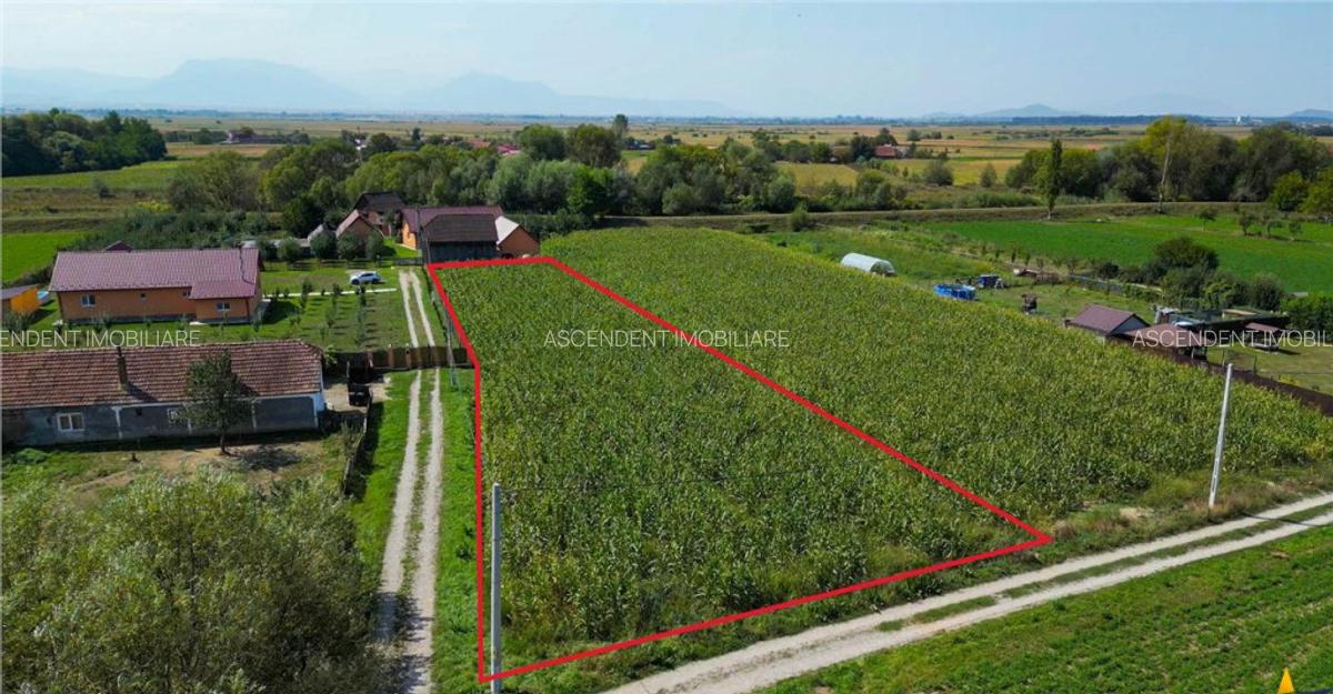 2.000mp intravilan, Bacel, zona linistita, intre Brasov si S - 4