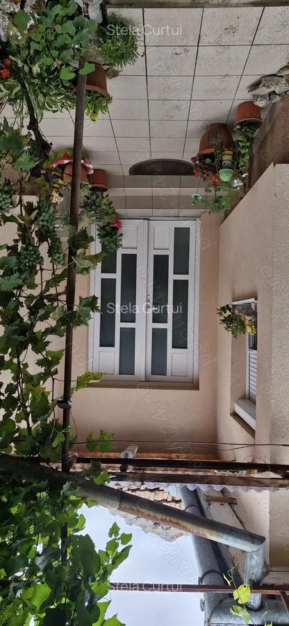 Vanzare casa in localitatea salard - 3