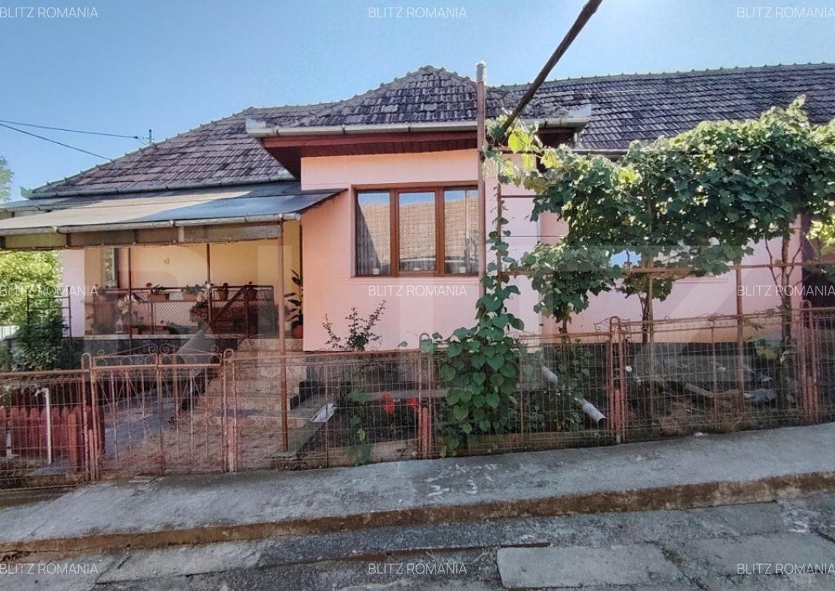 Casa tradi?ionala cu 3 camere, teren mare ?i gradina i - 2