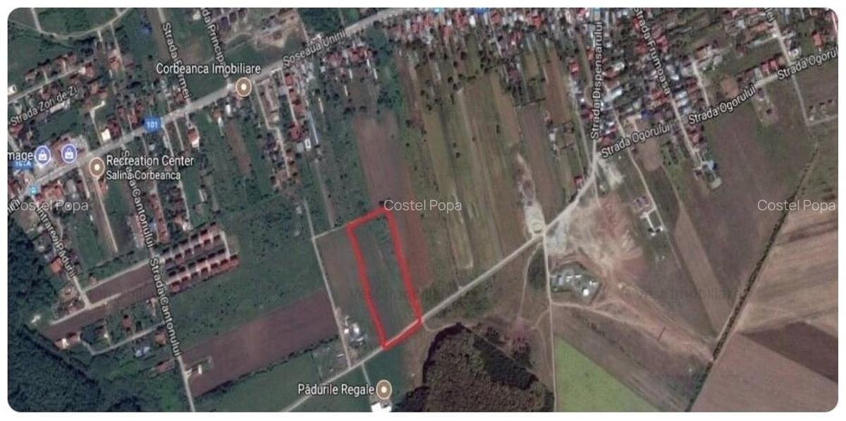 Corbeanca teren intravilan 5000 mp compact deschidere 22 ml, utilitati in zona - 3