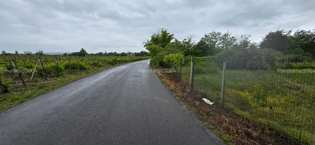 Casa si teren intravilan 4200 mp  Cotesti - 21