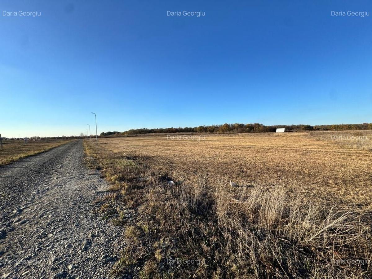 COMISION 0% | Teren Intravilan | Mosnita Veche | 775 mp | 26 mp Front - 2